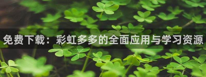 巅峰国际3代理：免费下载：彩虹多多的全面应用与学习资源